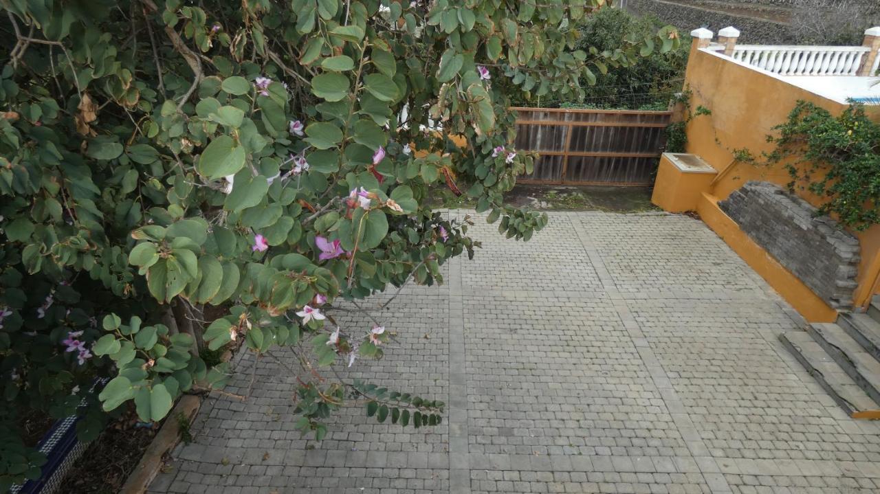 Atlantic Views Hotel Tacoronte Exterior photo